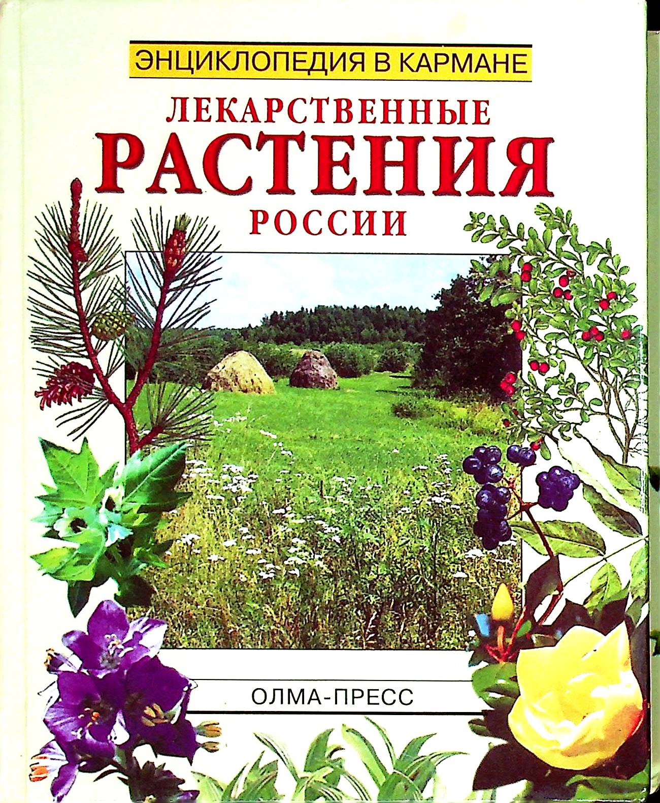 bookCover