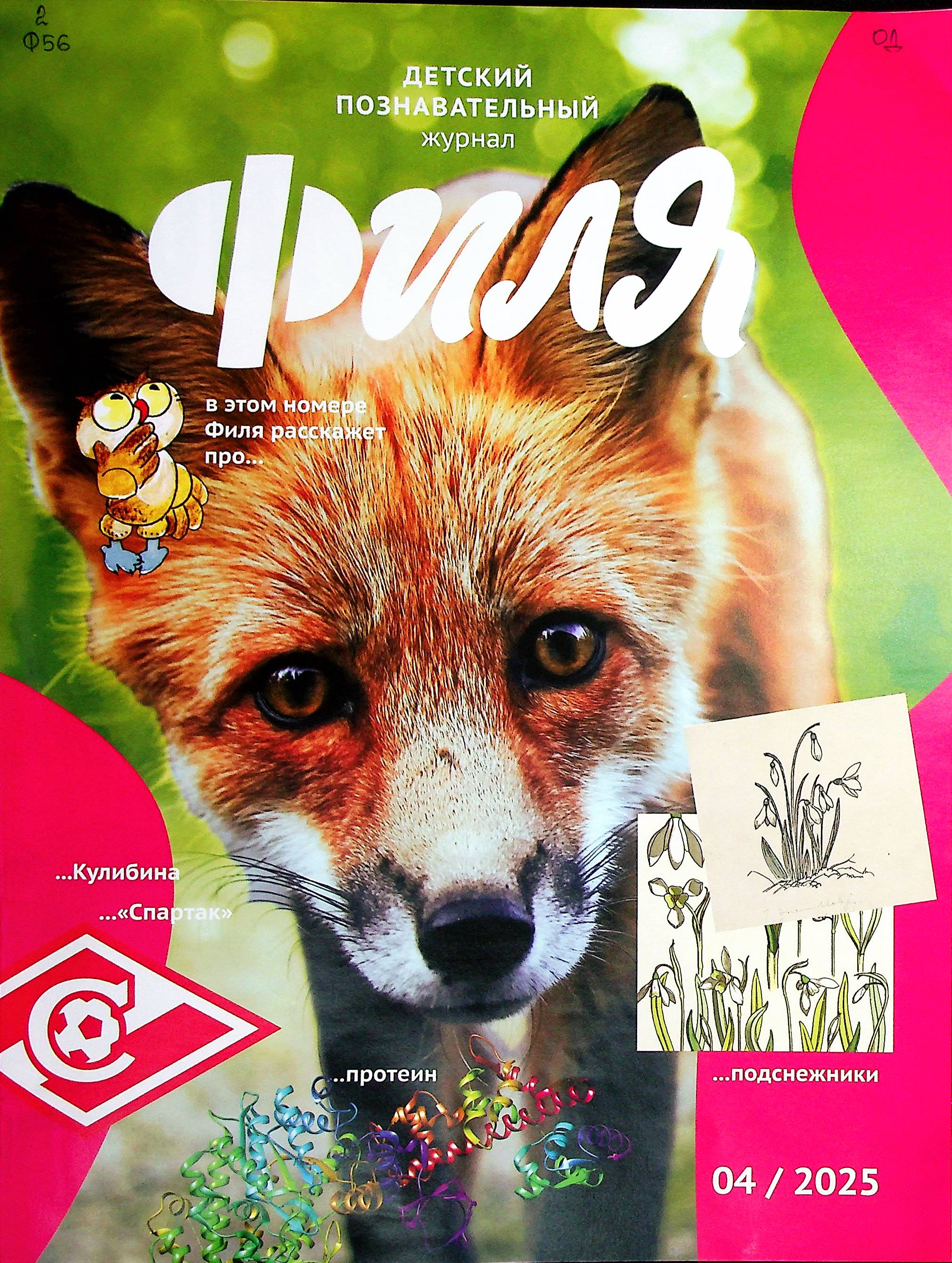 bookCover