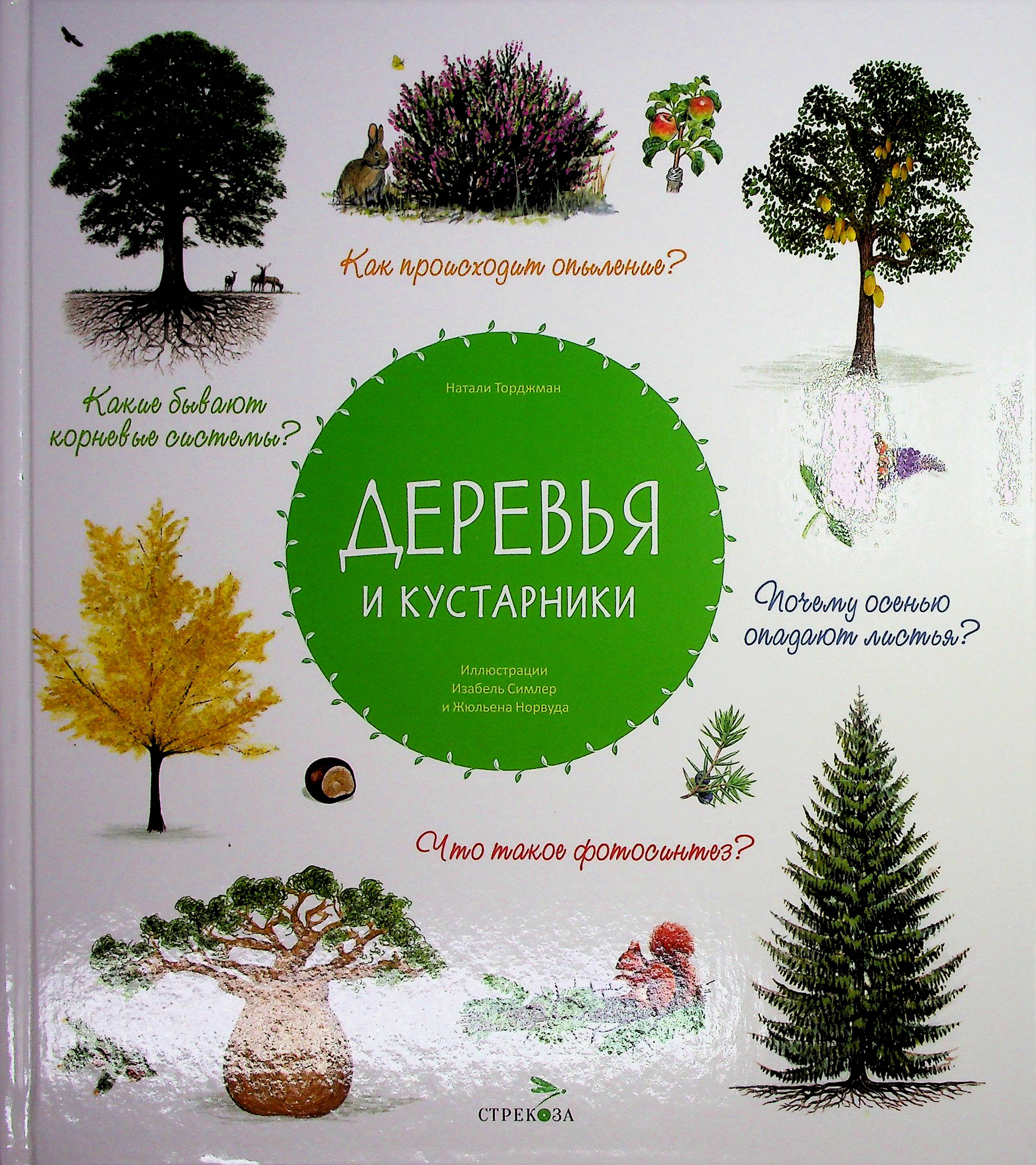 bookCover