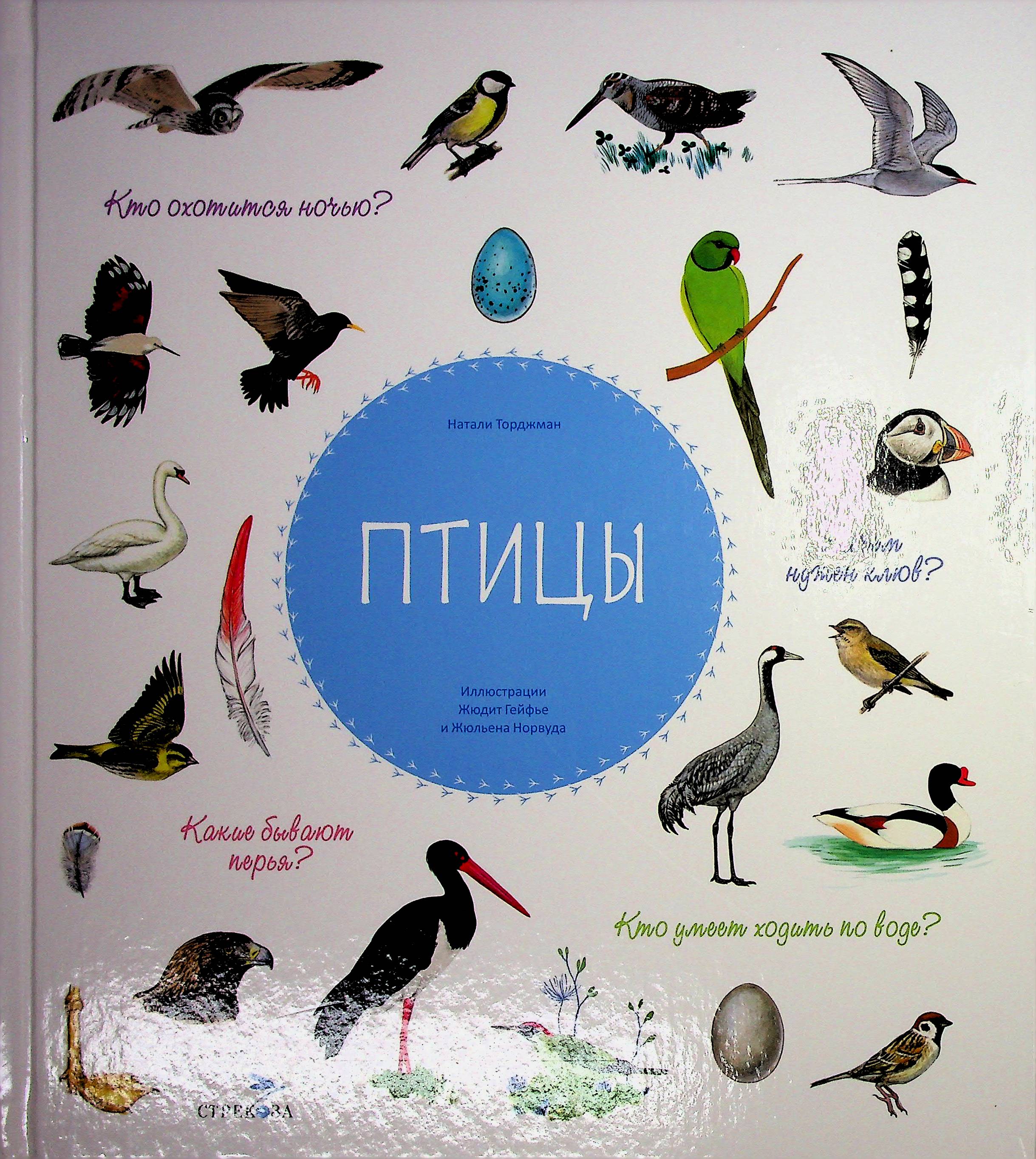 bookCover