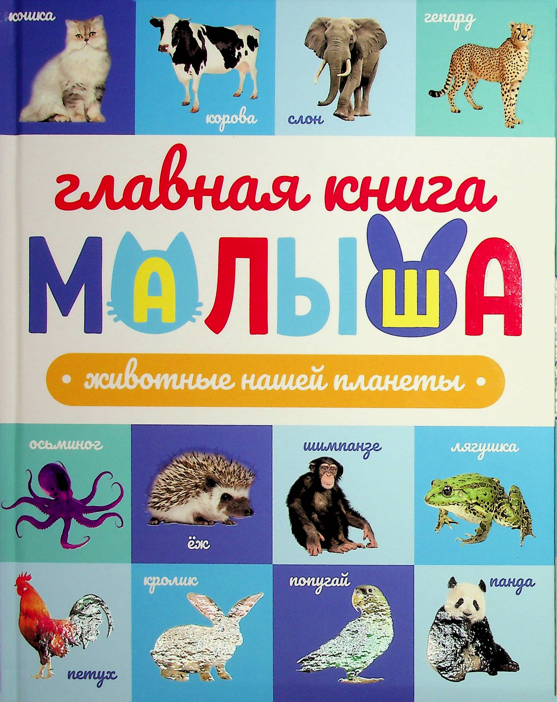 bookCover