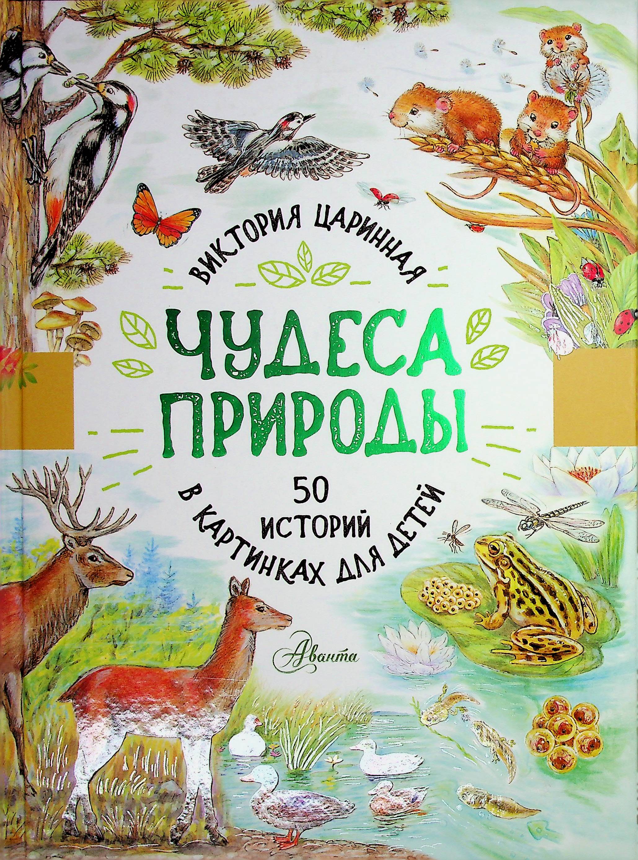 bookCover