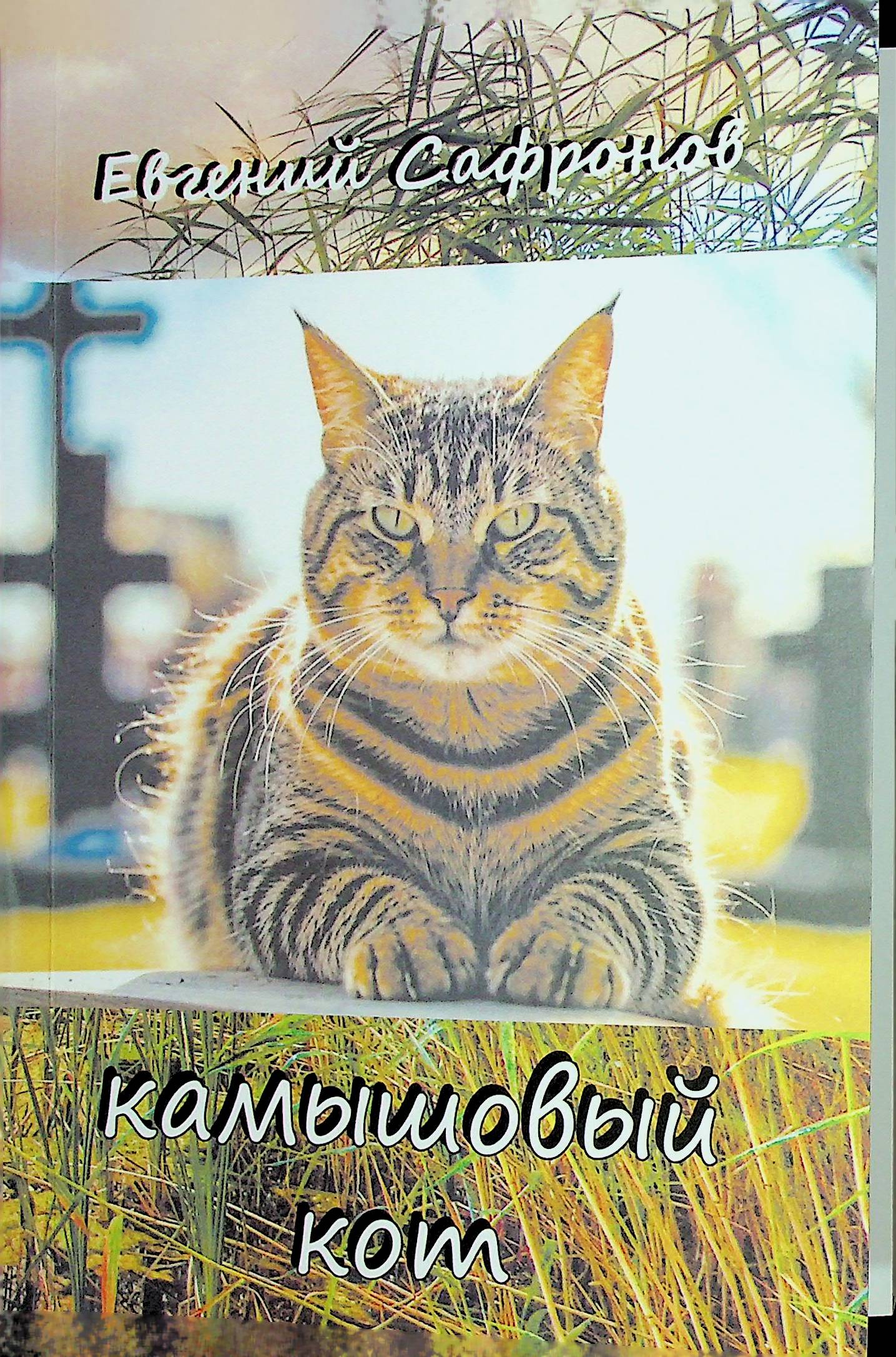 bookCover