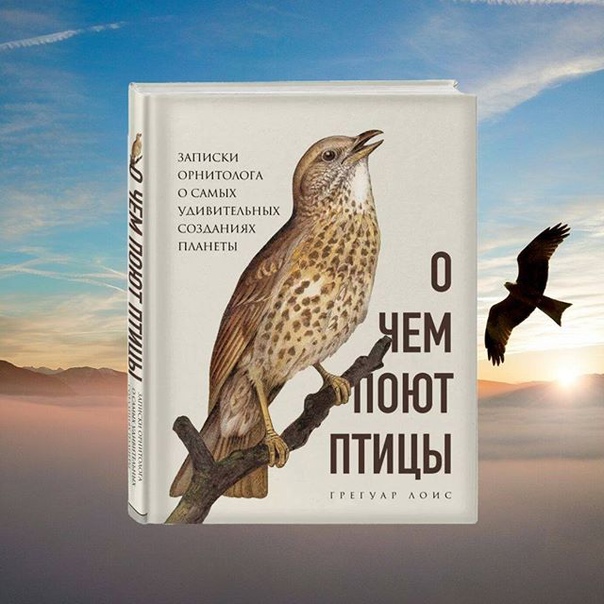 bookCover