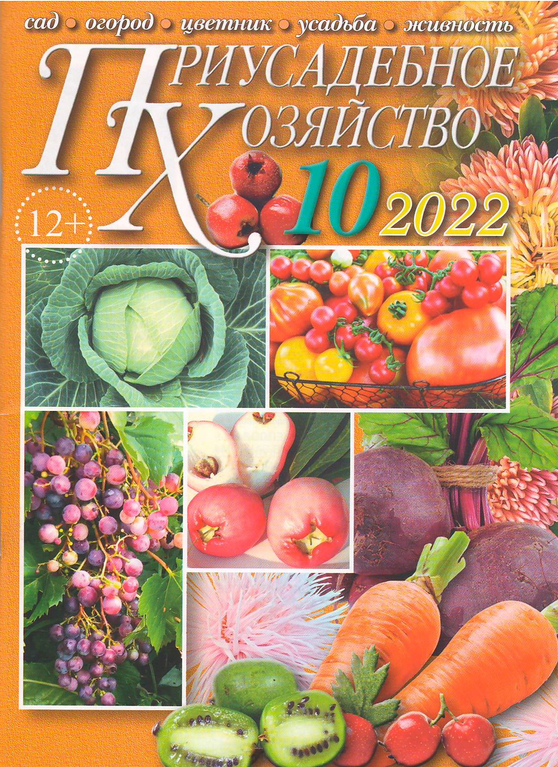 bookCover