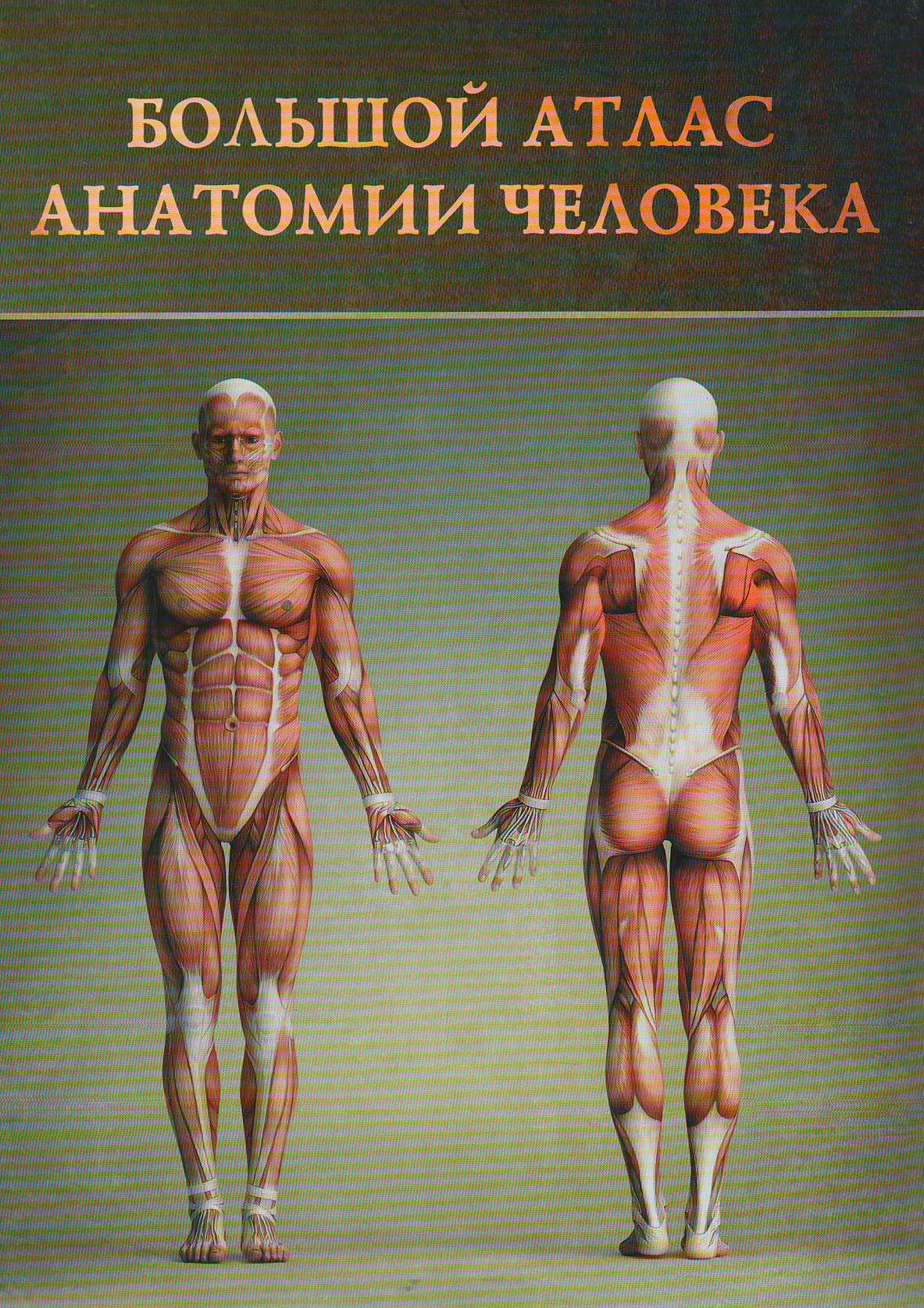 bookCover